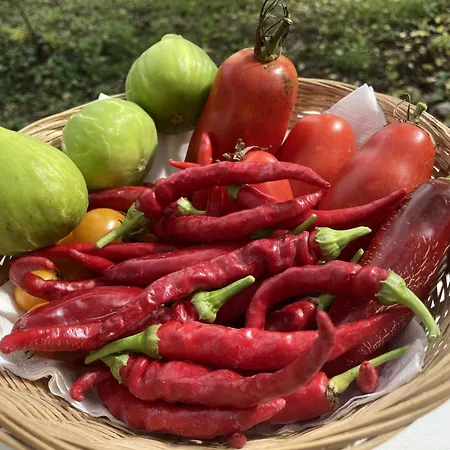 Les Deux Chevaux D'hotes 3*