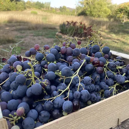 Bed & Breakfast Les Deux Chevaux D'hotes Rouvenac