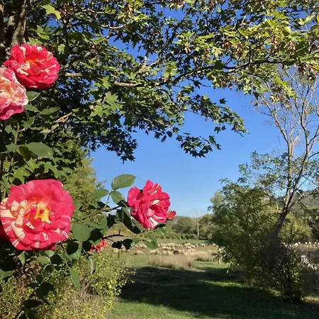 Frühstückspension Les Deux Chevaux D'hotes 3*